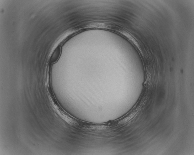X0000067401131200604211652