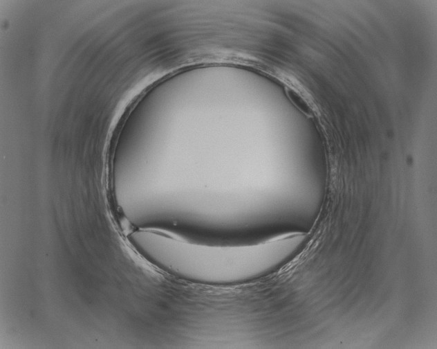X0000067401136200604211652