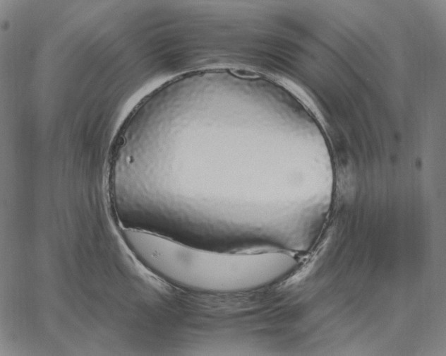 X0000067401149200604211652