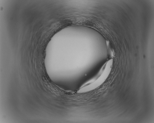 X0000067401153200604211652