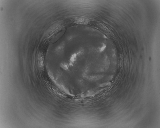 X0000067401154200604211652