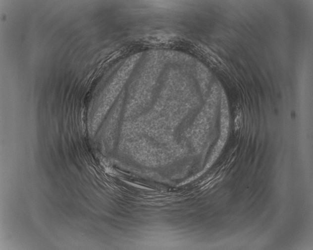 X0000067401156200604211652