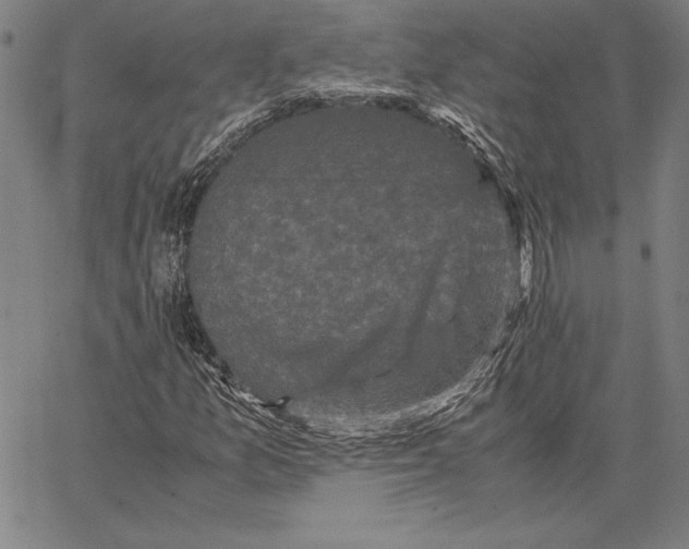 X0000067401157200604211652