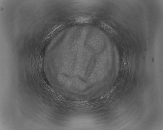 X0000067401158200604211652