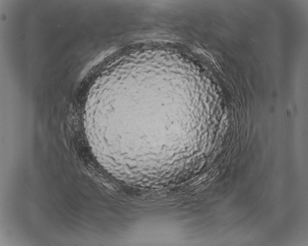 X0000067401159200604211651