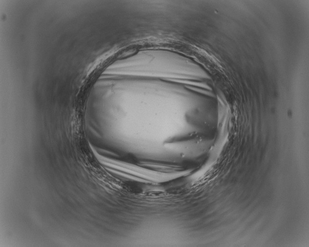 X0000067401160200604211651