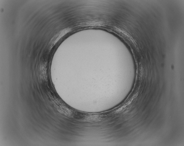 X0000067401162200604211651