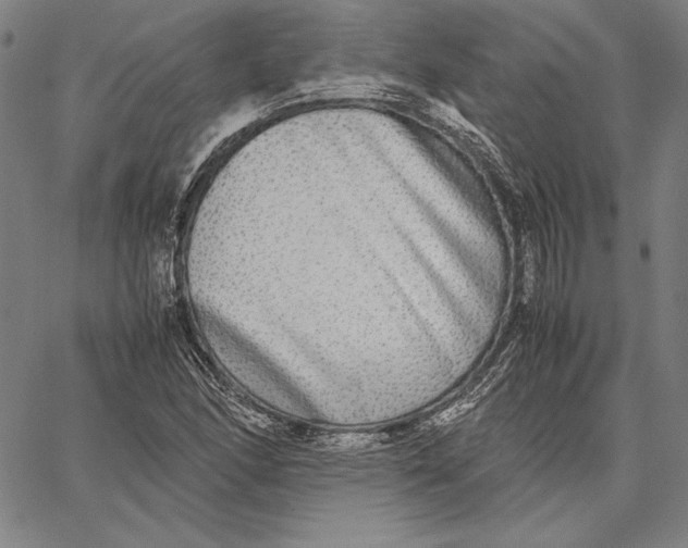 X0000067401166200604211651