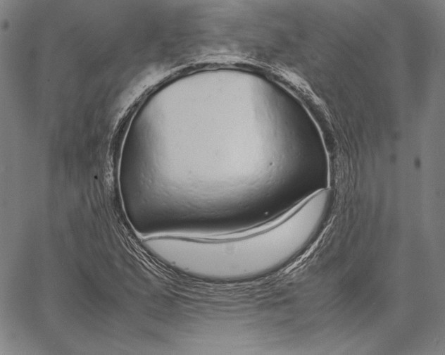 X0000067401167200604211651