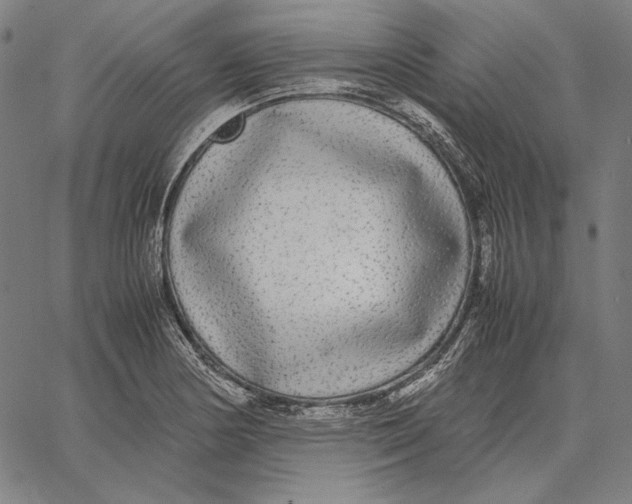 X0000067401178200604211651