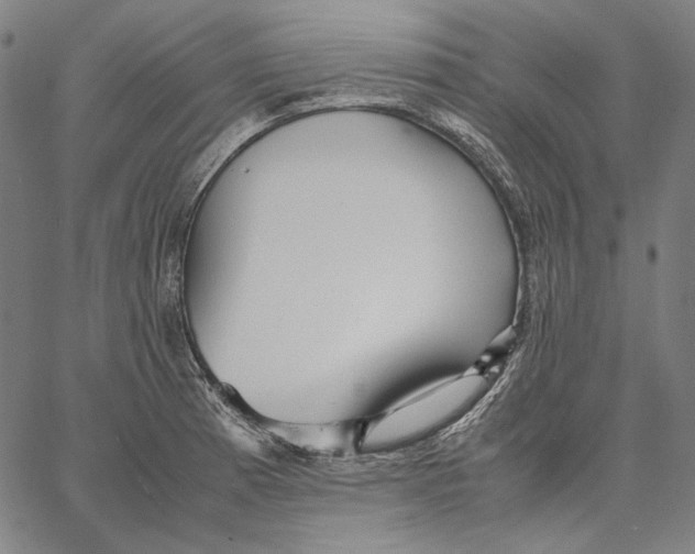 X0000067401185200604211651
