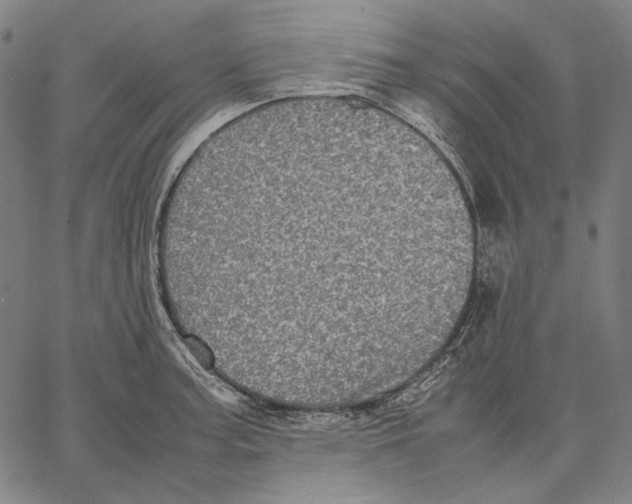 X0000067401187200604211651