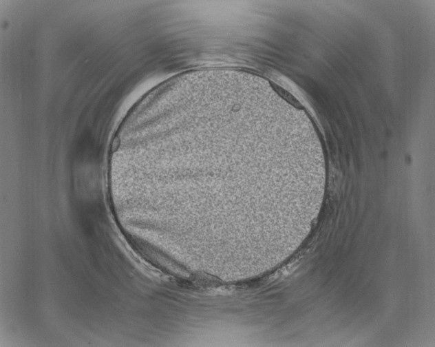X0000067401195200604211651
