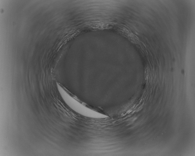 X0000067401202200604211650