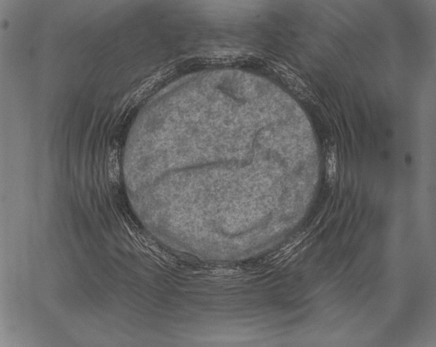 X0000067401204200604211650