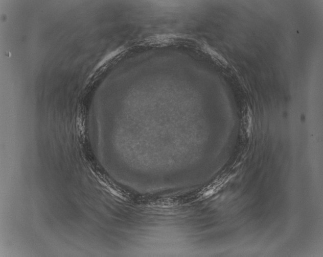 X0000067401206200604211650