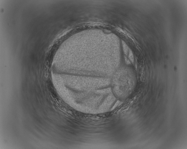 X0000067401207200604211650
