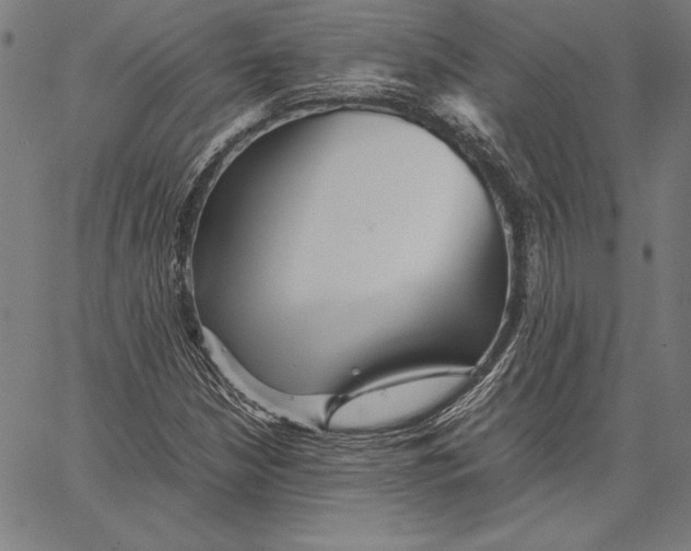 X0000067401210200604211650