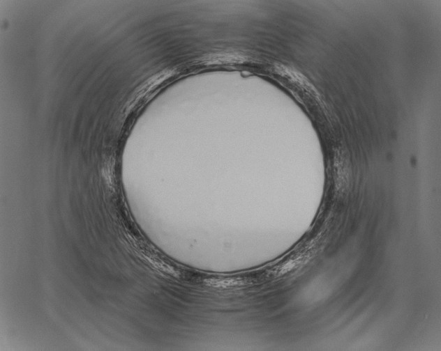 X0000067401217200604211650