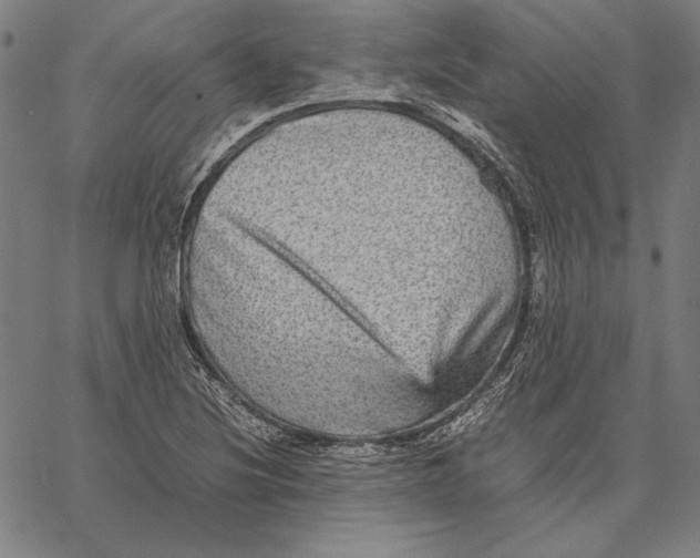 X0000067401220200604211650