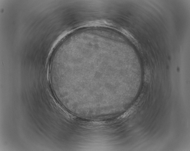 X0000067401224200604211650