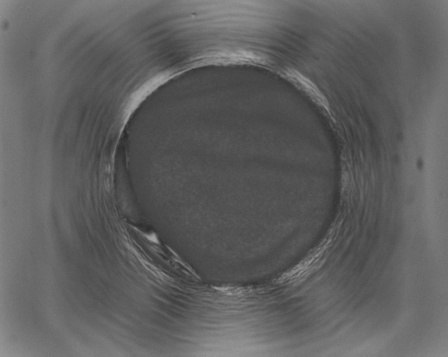 X0000067401226200604211650