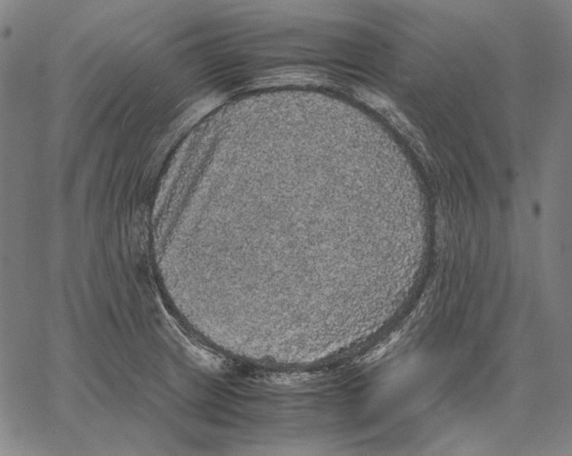 X0000067401233200604211651