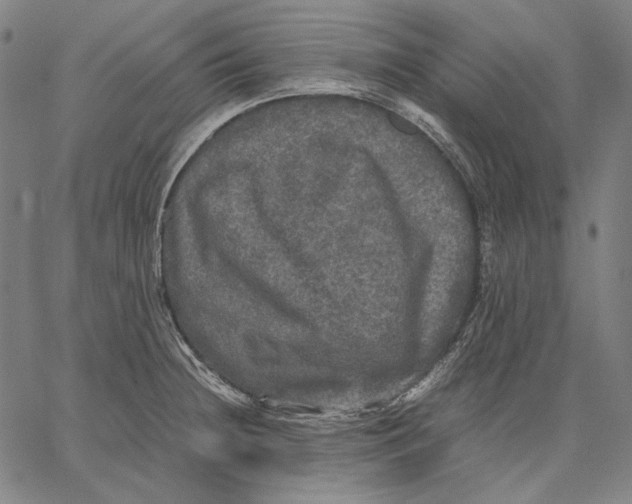 X0000067401236200604211651