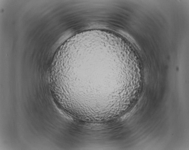 X0000067401241200604211651