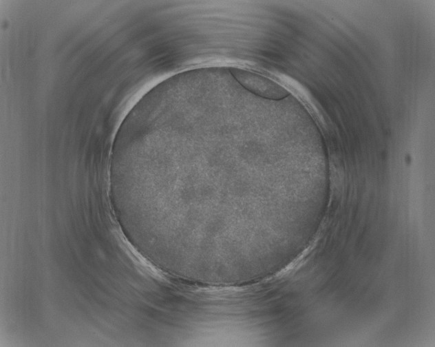 X0000067401244200604211651