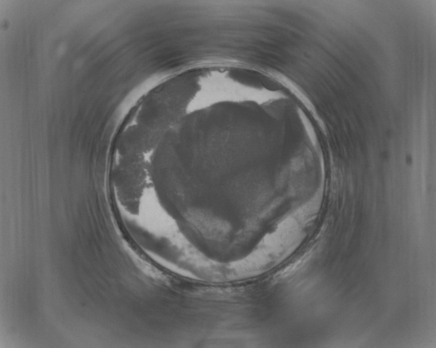 X0000067401245200604211651