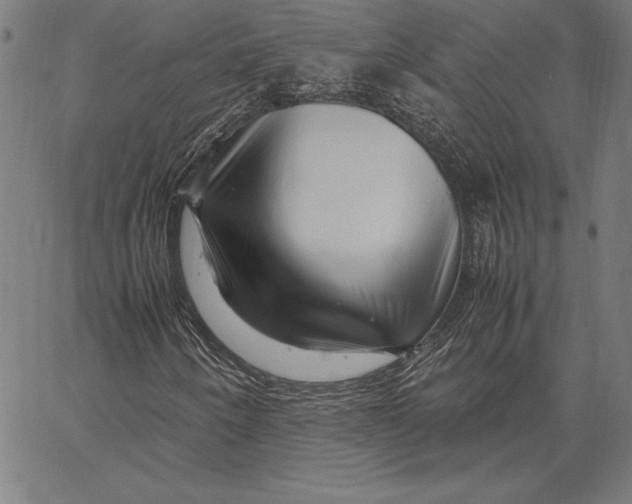 X0000067401250200604211650