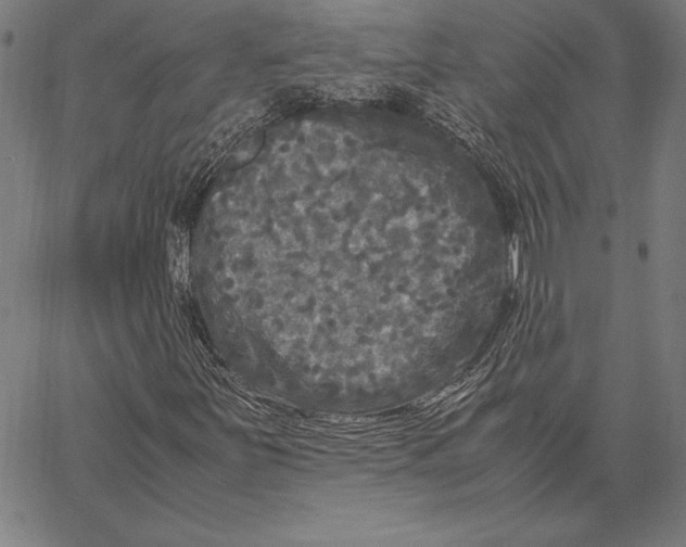 X0000067401251200604211650