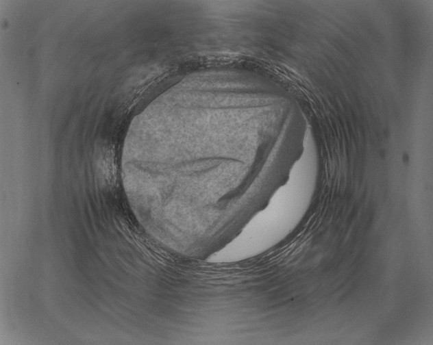 X0000067401252200604211650