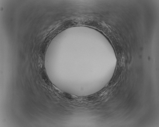X0000067401253200604211650