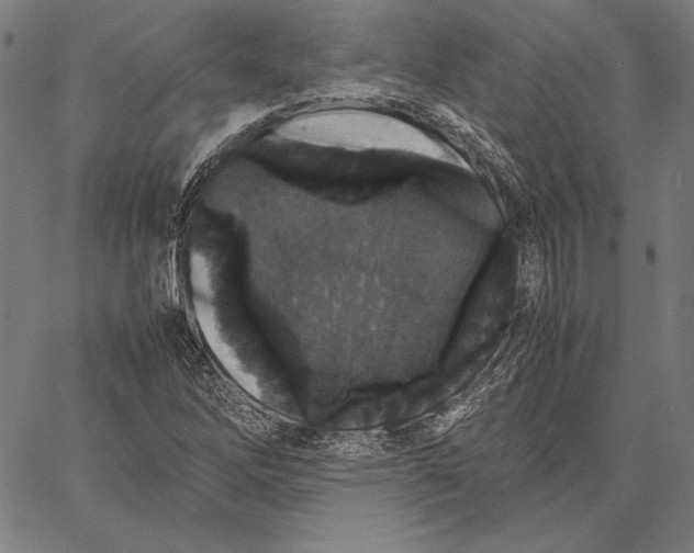 X0000067401262200604211650