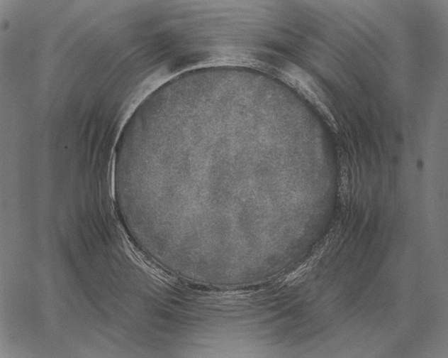 X0000067401276200604211650