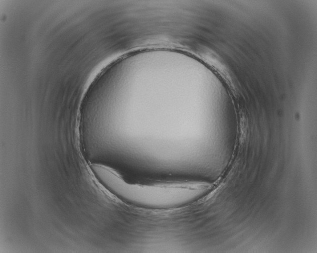 X0000067401288200604211649