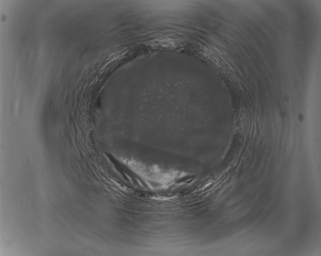 X0000067401297200604211648