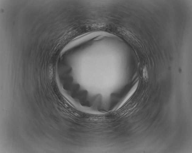 X0000067401299200604211648