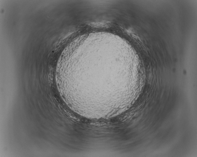 X0000067401301200604211649