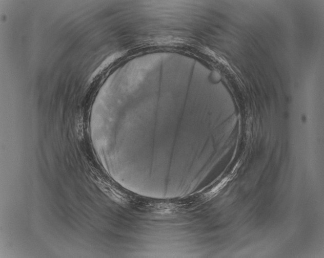 X0000067401306200604211649