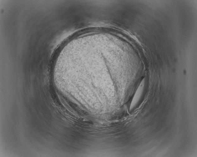 X0000067401311200604211649