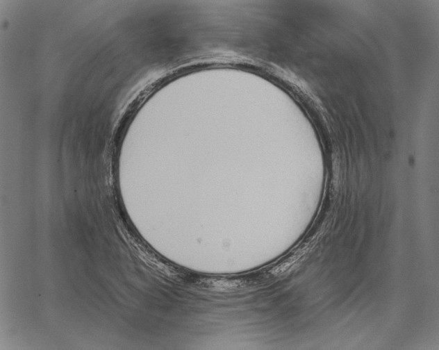 X0000067401318200604211649