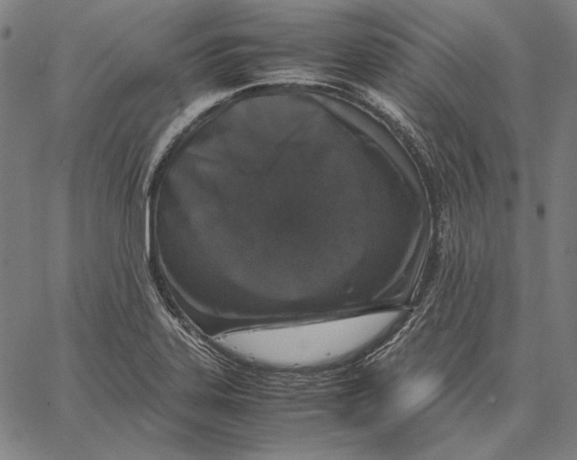 X0000067401323200604211649