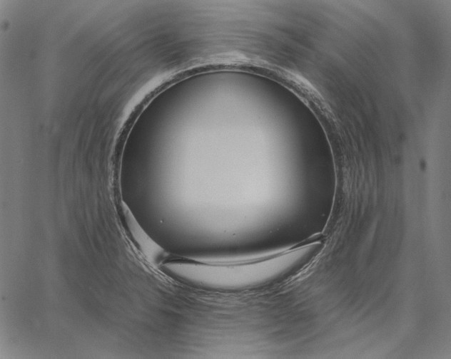 X0000067401326200604211649