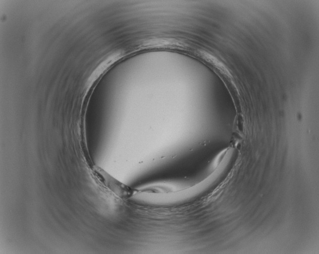 X0000067401330200604211649