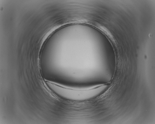 X0000067401332200604211649