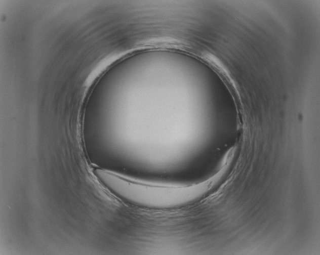 X0000067401336200604211649