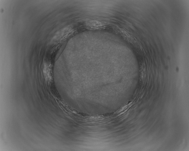 X0000067401346200604211648